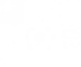 Cisco Fotografía